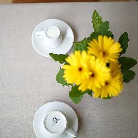 Bed & Breakfast Antichi Soffitti