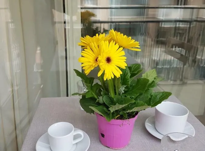 Antichi Soffitti Bed & Breakfast 2*